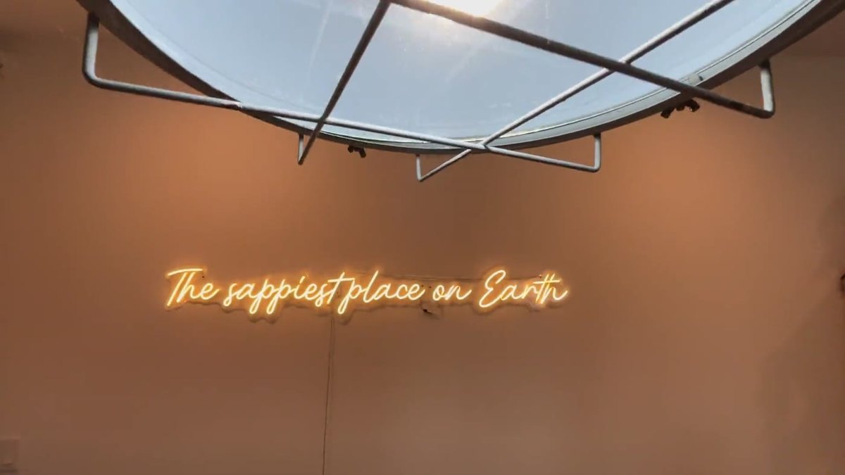 A neon sign reading The sappiest place on Earth on the camp store wall
